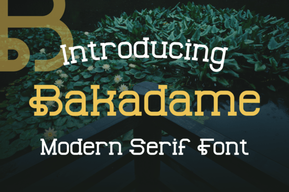 Bakadame Display Font for Handmade Creators