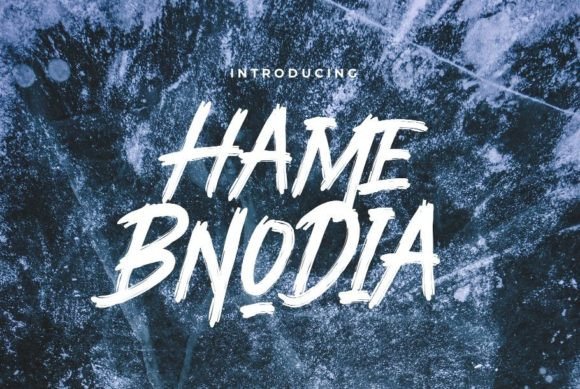 Hame Bnodia: A Display Font That Makes Your Campaign Stand Out