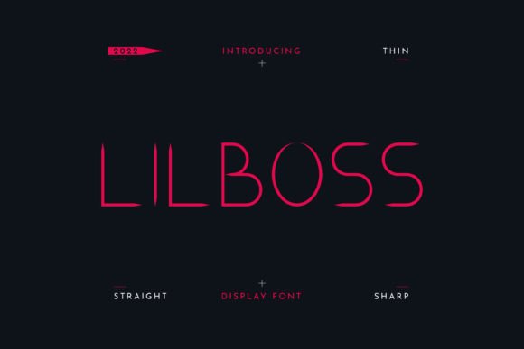 Lilboss: A Stylish Display Font That Elevates Real Small Business Branding